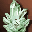 Kasha Crystal icon
