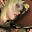 Elf Figure icon