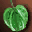 Gludio Apples icon