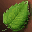 Leaf of The Mother Tree icon