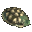 Spider's Carapace icon