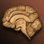 Zombie's Brain icon