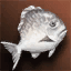 Big White Fat Fish icon