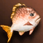 Orange Fat Fish icon
