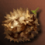 Ritron's Fruit icon