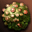 Great Cobol icon