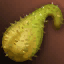 Mature Alternative Desert Codran icon