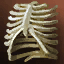 Rib Bone icon