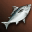 Shiny Salmon icon