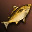 Orange Nimble Fish icon