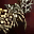 Shyeed's Bow - Concentration icon