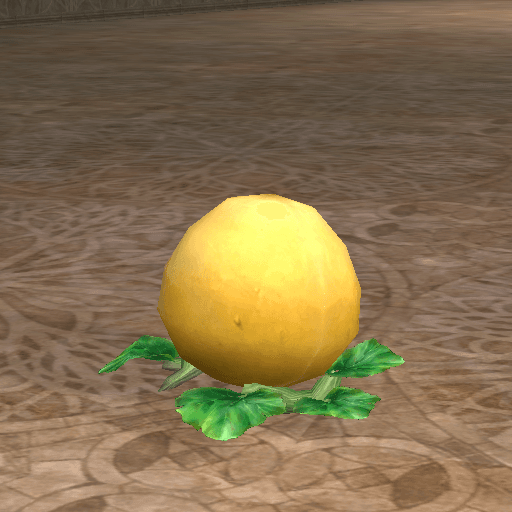 High Quality Squash portrait