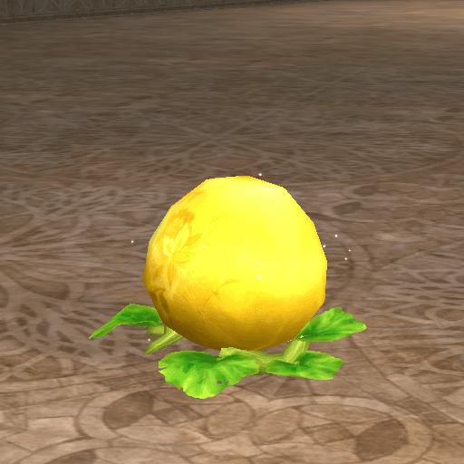 King Squash portrait
