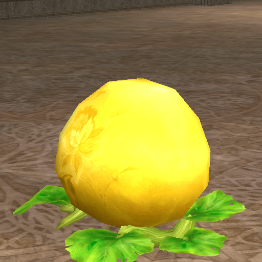 Emperor Squash portrait