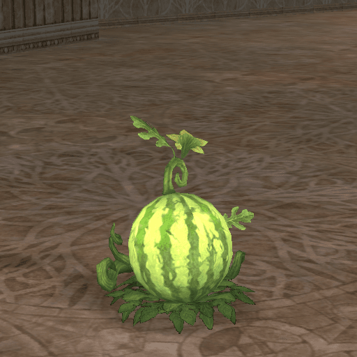 Rain Watermelon portrait