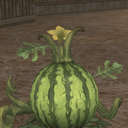Large Rain Honey Watermelon portrait