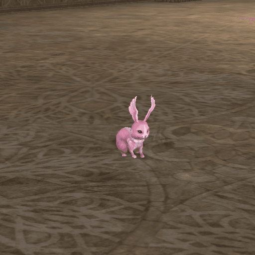 Fearless Angry Bunny portrait