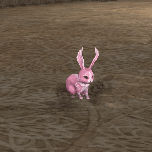 Large Fearless Angry Bunny portrait