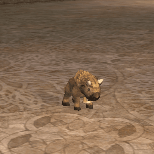 Tiny Baby Buffalo portrait