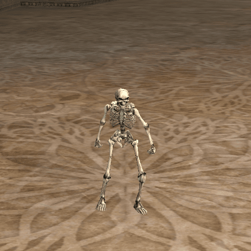 Dungeon Skeleton portrait