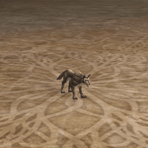 Grey Wolf Elder portrait