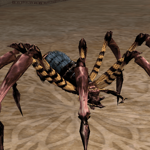 Trisalim Spider portrait