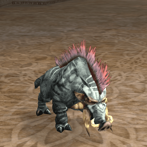 Grazing Windsus portrait