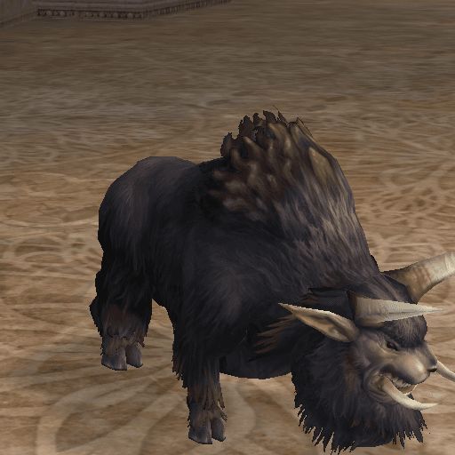 Grazing Elder Buffalo portrait