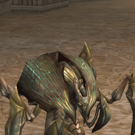 Chakram Beetle portrait