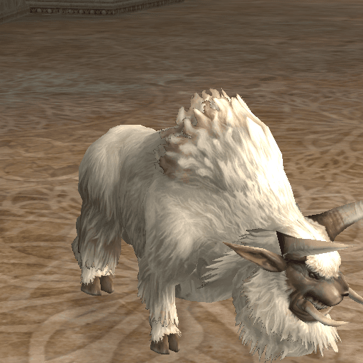 Freya's Buffalo portrait