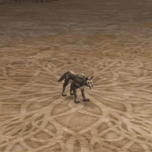 Dominant Black Wolf portrait