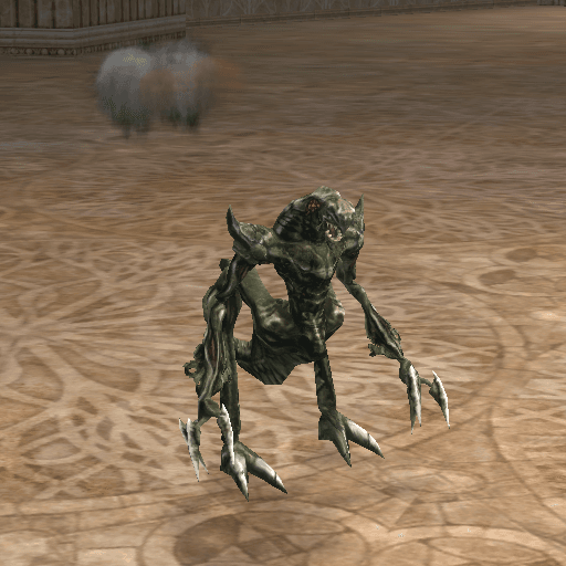 Validus portrait