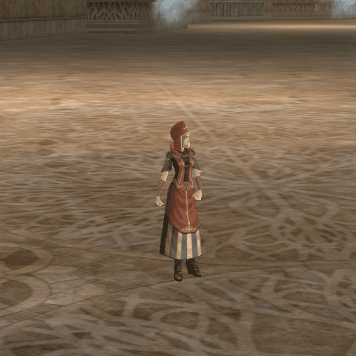 Elite Mercenary Guild Member portrait