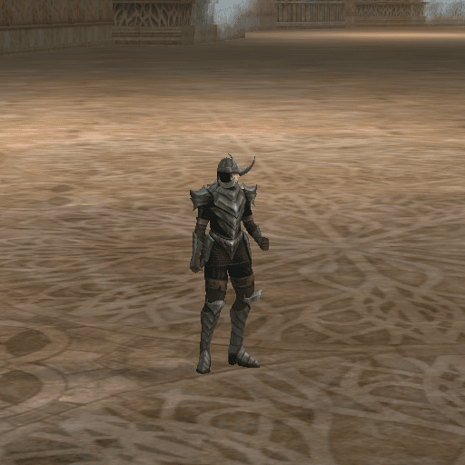 Court Guard portrait