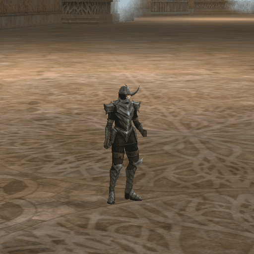 Court Guard portrait