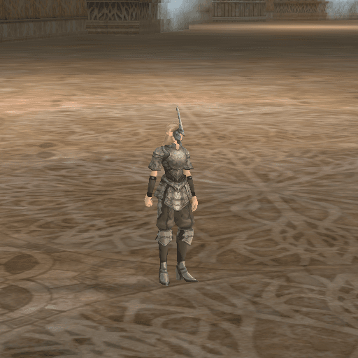 Guard portrait