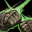 none icon
