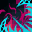 Rage of Paagrio icon