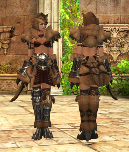 Barbarian Wolf Suit Human Female · Wizard