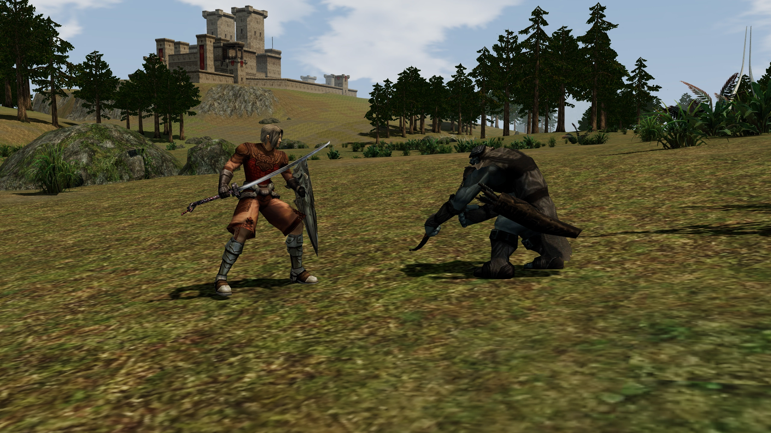 Paladin facing Timak Orc Archer in its Chronicle 1 hunting area.