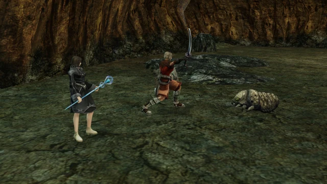 Paladin, Bishop facing Ant Larva in its Chronicle 1 hunting area.