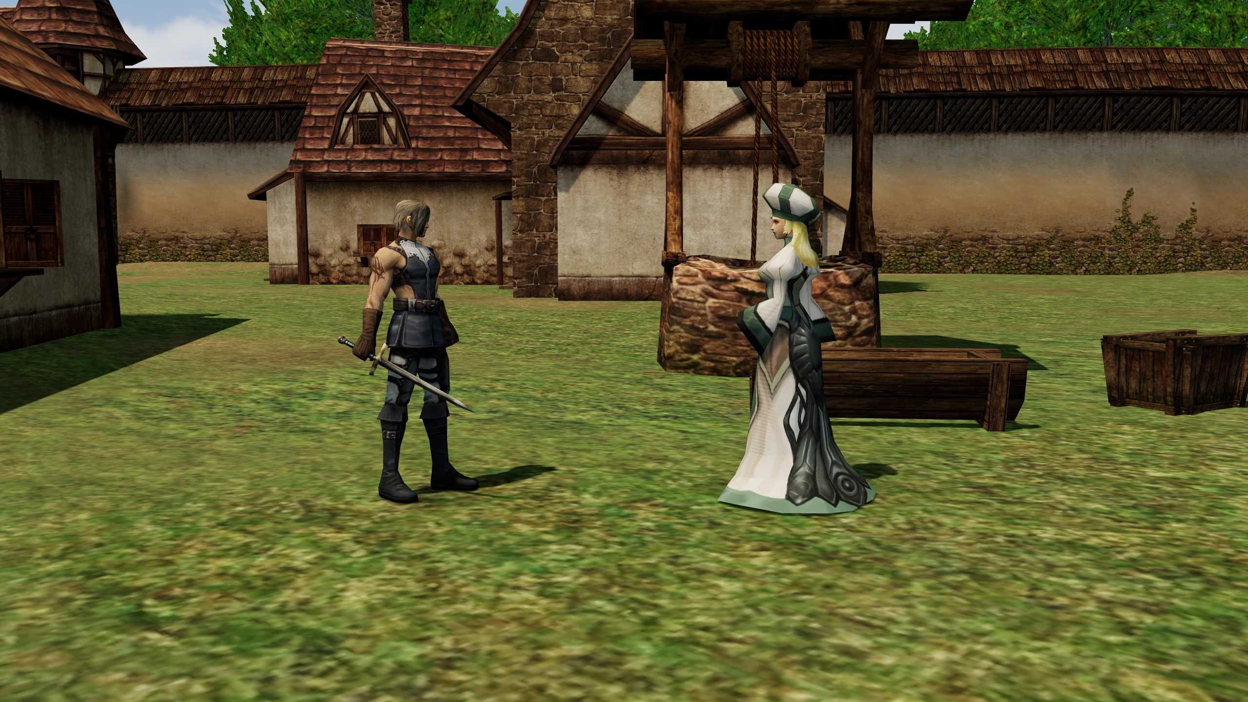 Human Fighter meeting Roxxy in the native Chronicle 1 world.