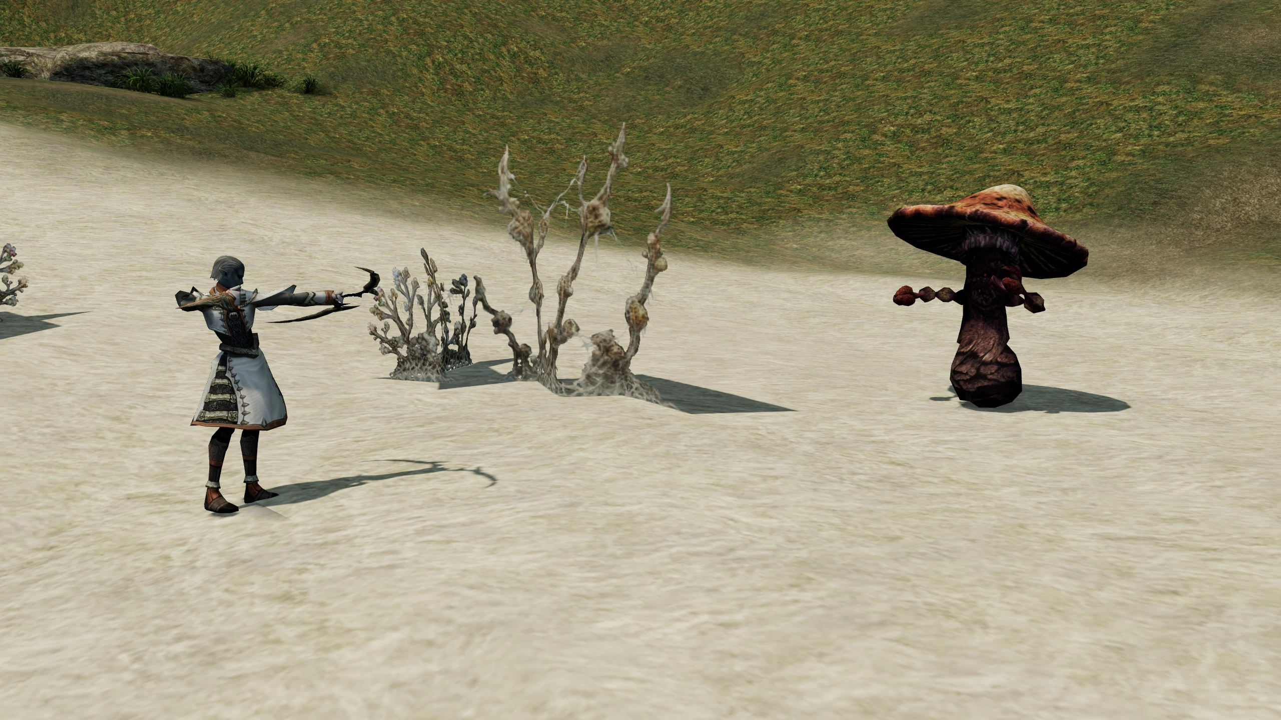 Phantom Ranger facing Giant Fungus in its Chronicle 1 hunting area.