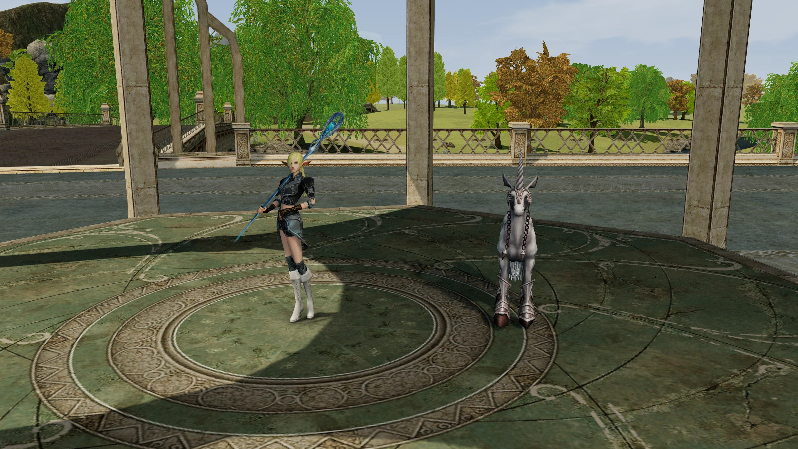 Elemental Summoner accompanied by Unicorn Boxer in the Chronicle 1 world.
