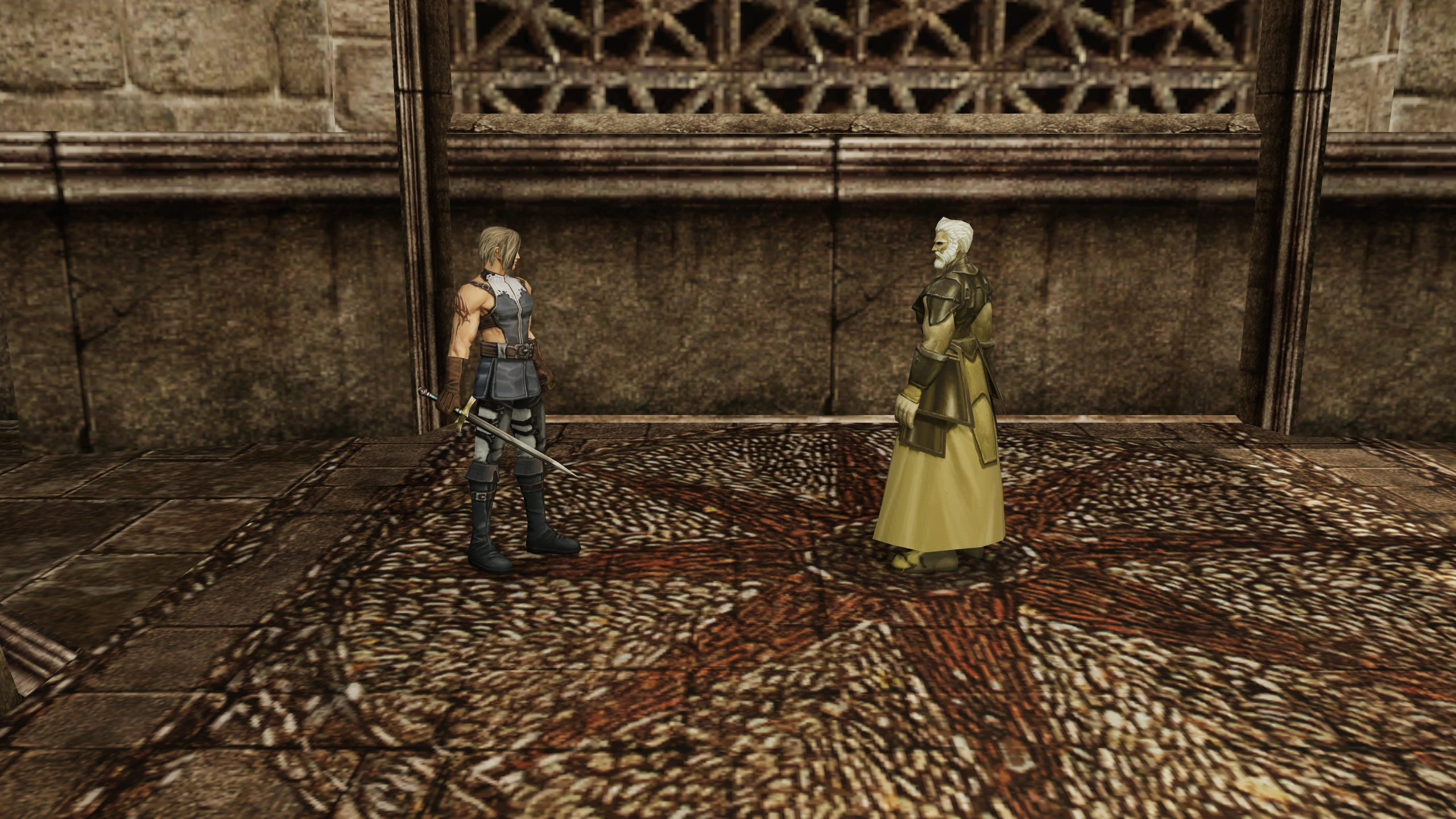Human Fighter meeting Roien in the native Chronicle 1 world.