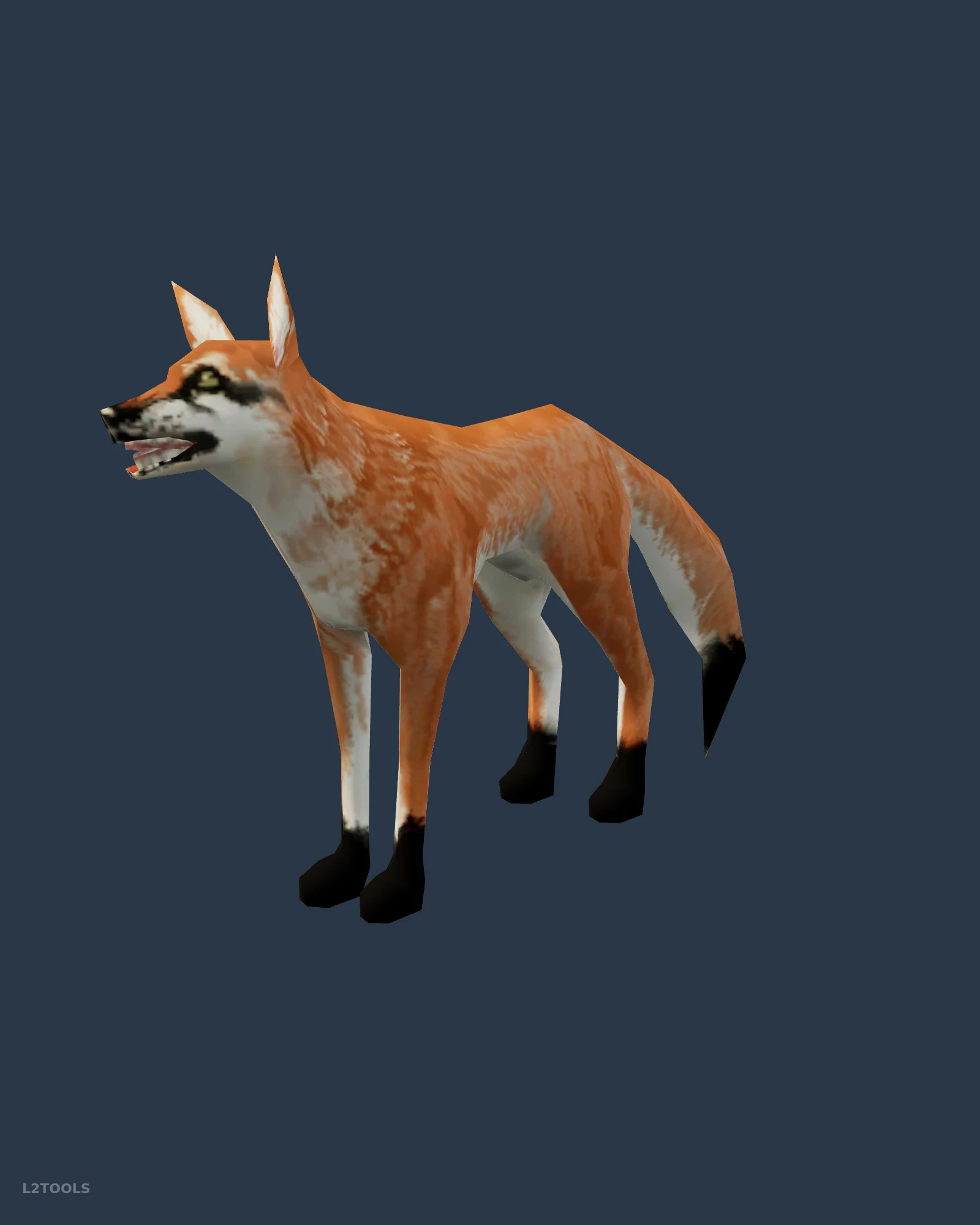 Longtail Fox portrait