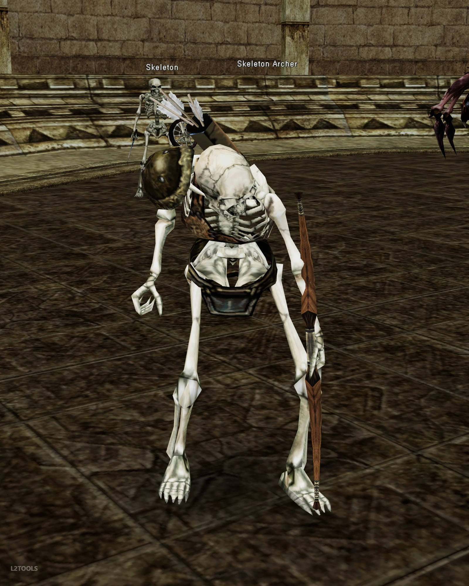 Skeleton Archer portrait