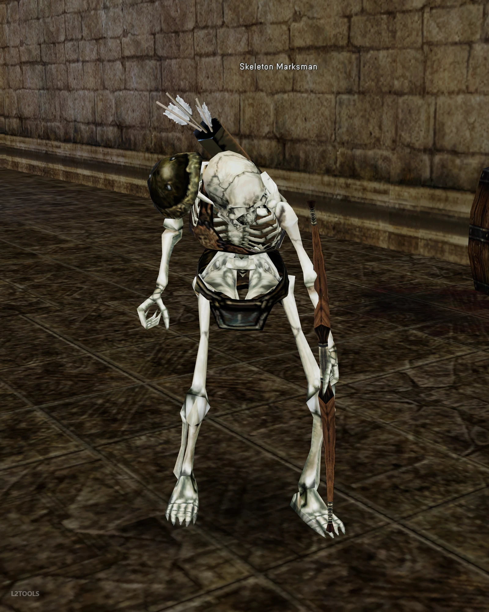 Skeleton Marksman portrait