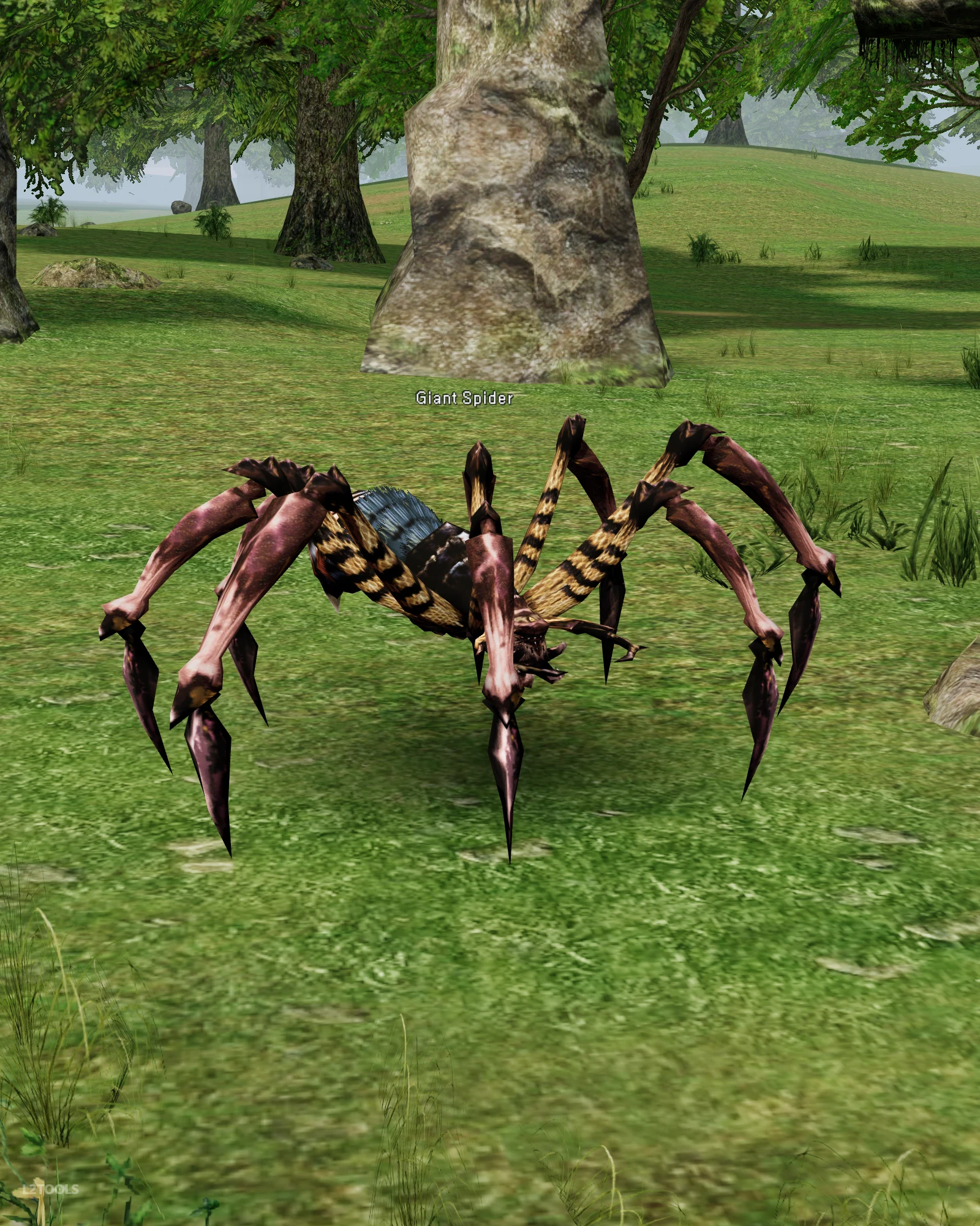 Giant Spider portrait