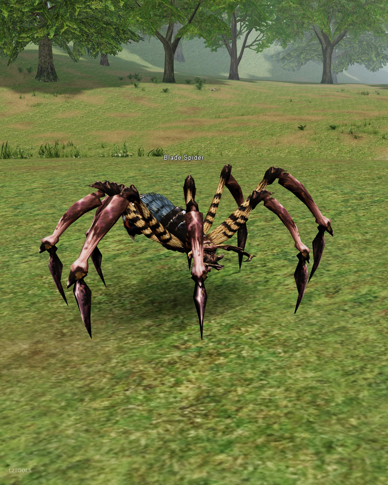 Blade Spider portrait